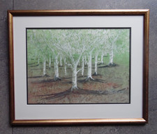 Orchard trees - orchard,