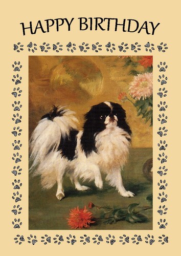 Japanese chin dog - chin,