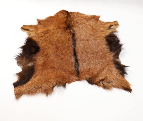 Natural tanned sheep skin - sheep,