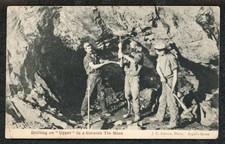 Dolcoath Tin/Copper Mine