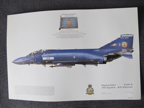 Squadron print 391 phantom - squadron,