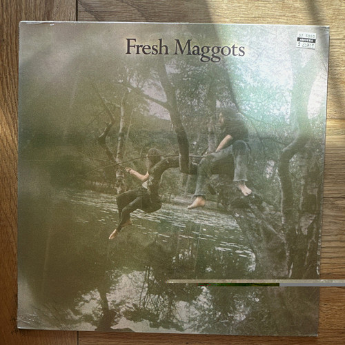 Fresh maggots - fresh,