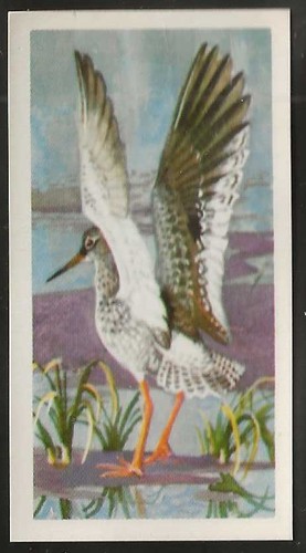 Brooke bond bird - brooke, (tea)-bird