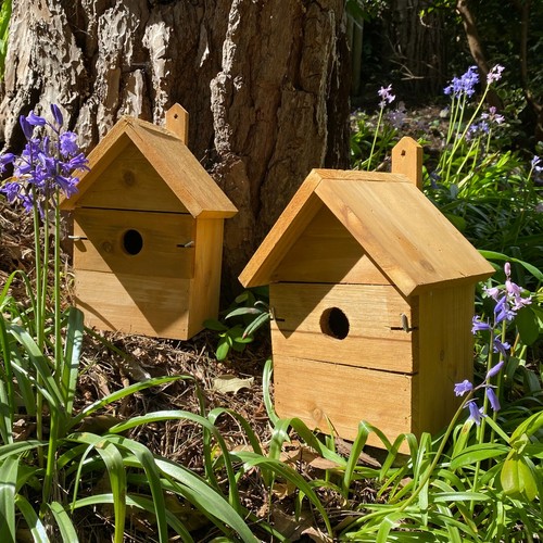 Large wooden multi hole bird - multi-hole,