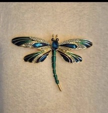 Ladies Blue And Green