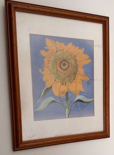 Professionally framed - professionally,