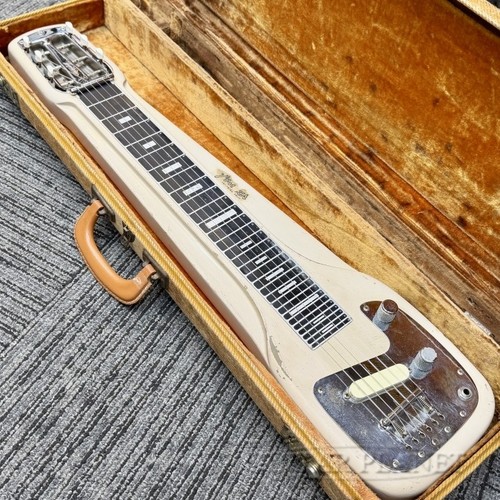 Fender 1959 champ - champ, 6