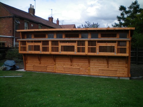 18ft 6ft pigeon loft - pigeon,