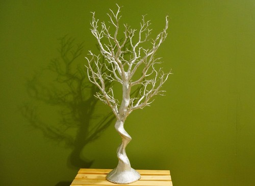 Manzanita tree - (lot, 30"