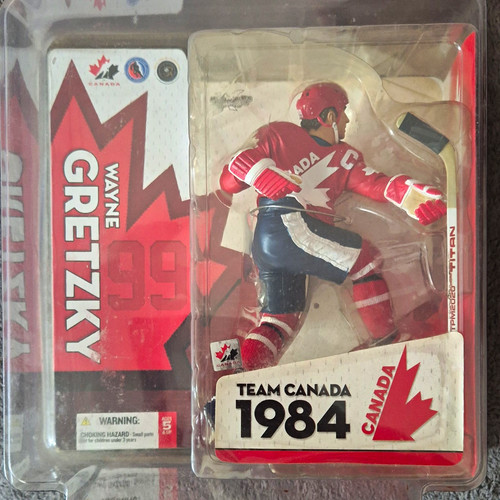 Wayne gretzky team - wayne, 1984
