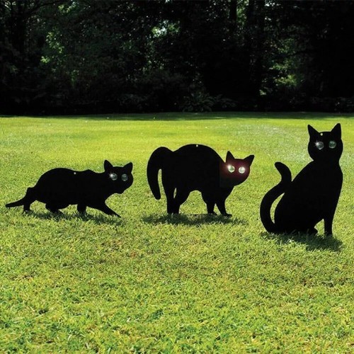 Cat scarer bird deterrent - cat,