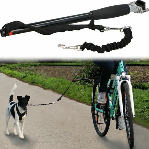 Lead dog free attachment walk - free,