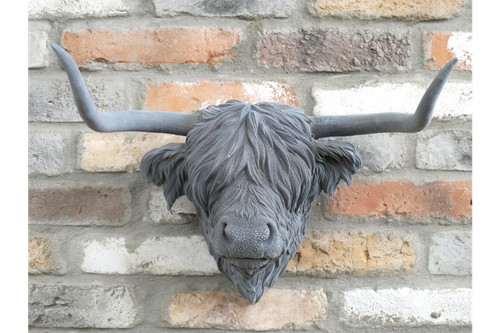 Huge 50cm highland cow - huge,