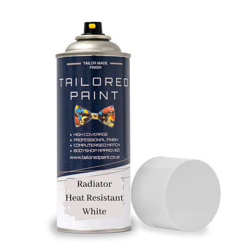 Radiator aerosol spray paint - radiator,