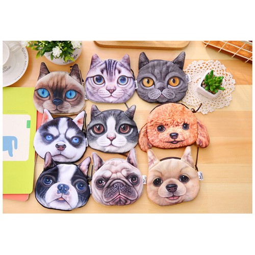 Cute kitten cats - puppy, dogs