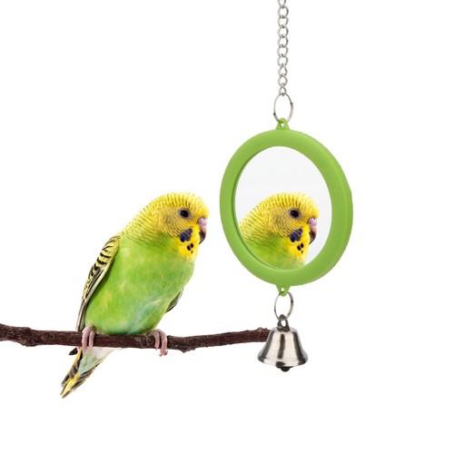 Pet bird mirror with - pet,