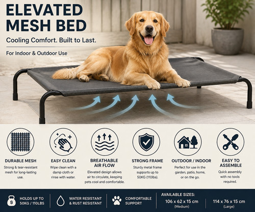 Elevated dog bed raised - dog,