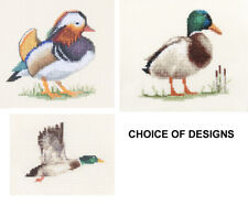 MALLARD, MANDARIN DUCK Bird -