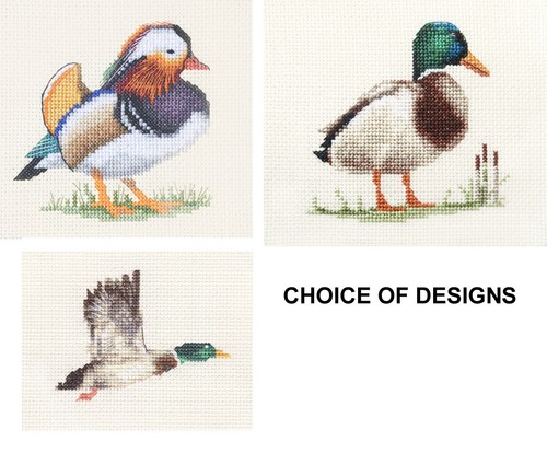 Mallard mandarin duck - bird,