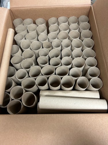 Empty cardboard toilet roll - cardboard,