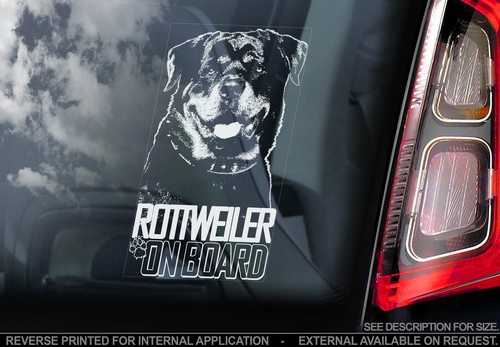 Rottweiler car window - -,