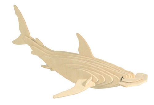 Quay hammerhead shark - quay,