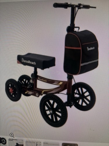 Blessreach steerable all - steerable,