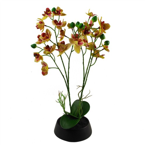 43cm large pink yellow - 43cm,