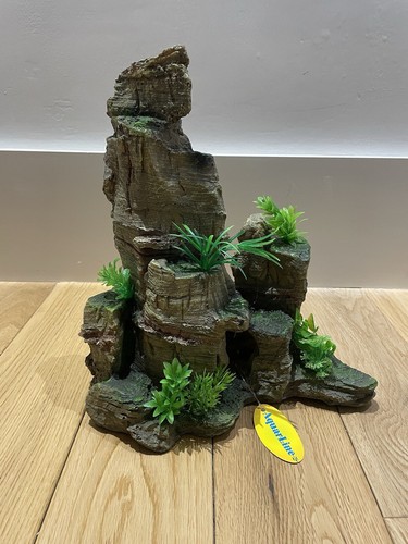 Aquarium fish tank rocky - aquarium,