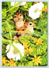 D337268 Pheasant Chicks With lesser Celandine and Greater Bindweed. Kenneth Lill