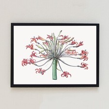 Vintage Flower Botanical