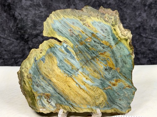 Choice large larsonite gary - choice,