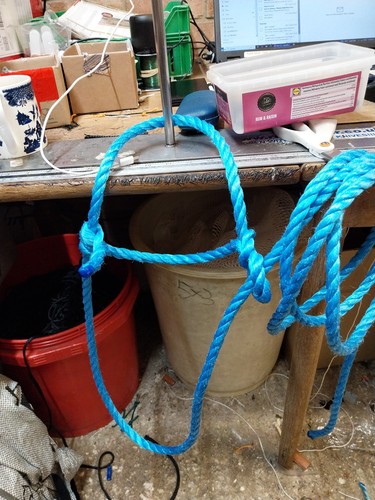 Rope halter head - rope,