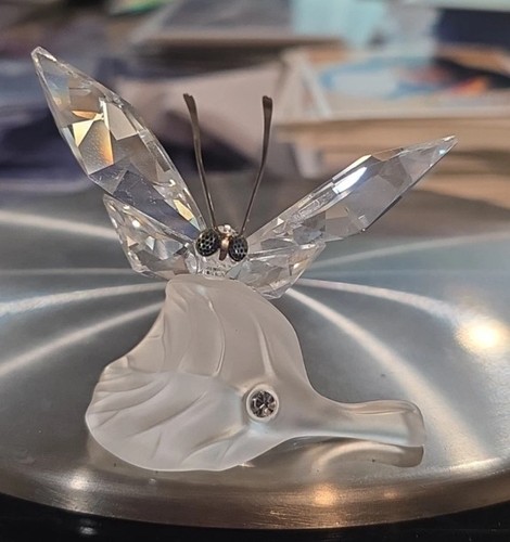 Swarovski crystal butterfly - butterfly, on