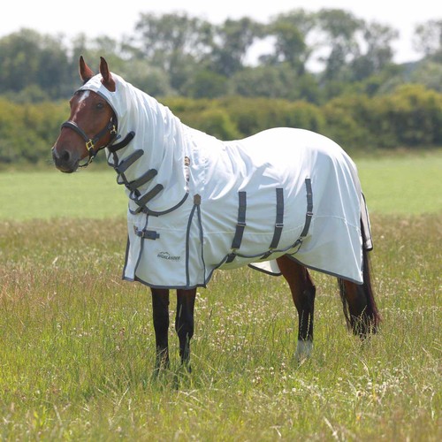 Highlander plus sweet itch - highlander,