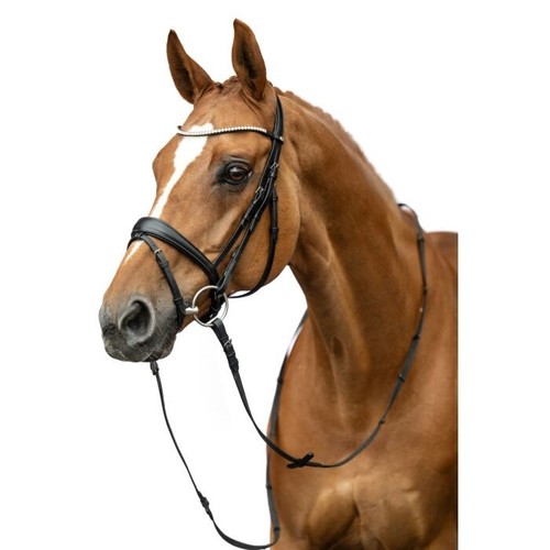 Dressage bridle full size - , w/