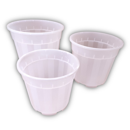 Clear orchid pots plastic - orchid,