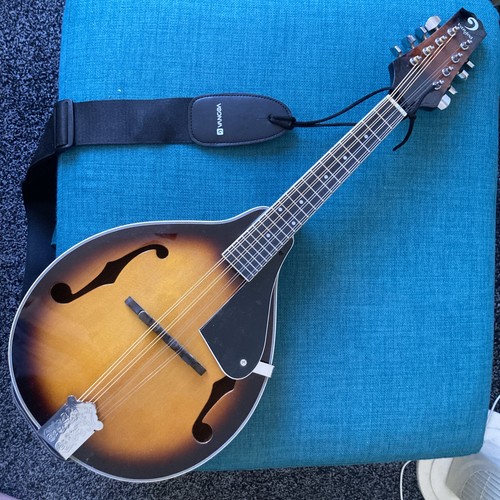 Banjo mandolin string - banjo,