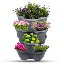 6 x Vertical Strawberry