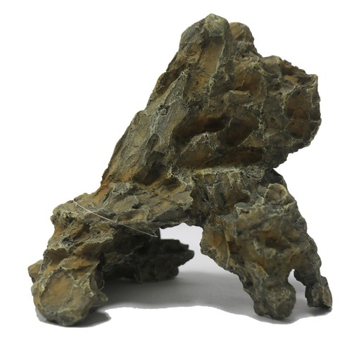 Betta stony cave - stony,