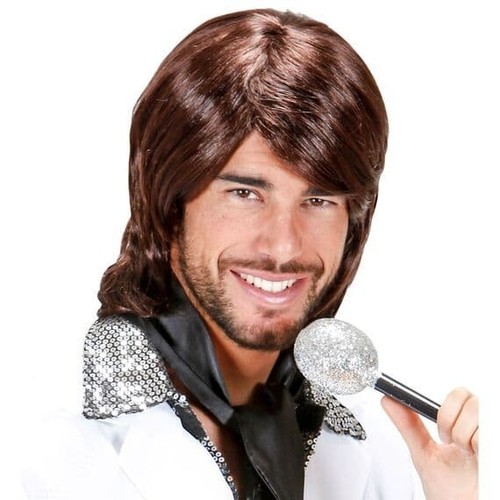 Adult 1970s pop star - adult,