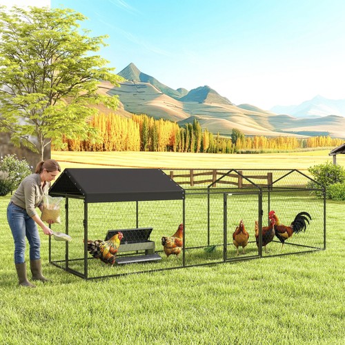 Outdoor large metal chicken - metal,