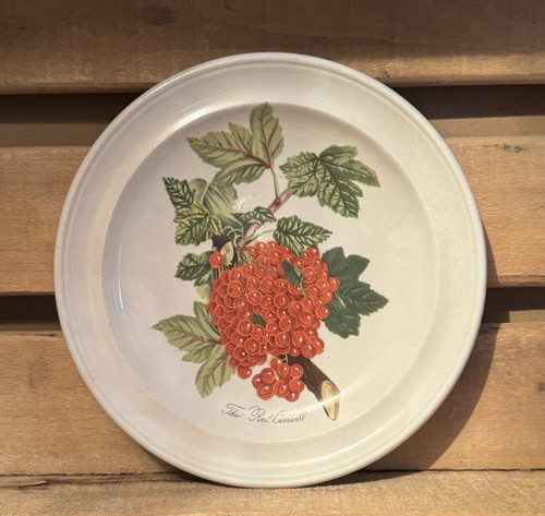 Portmeirion pottery china - portmeirion,