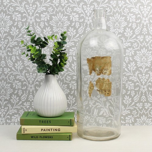 Vintage glass apothecary - vintage,