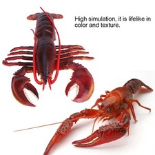 _Simulation Soft Plastic