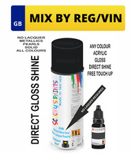 Spray Aerosol Paint Mixed By Car Registration Reg Vin Plate Number Direct Gloss