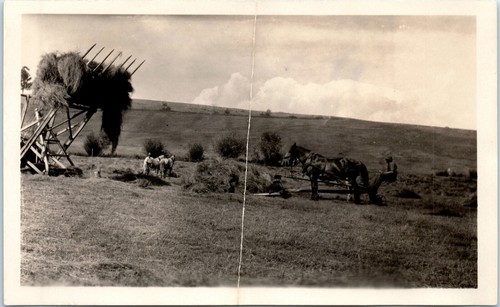 Antique photo man riding - antique, of