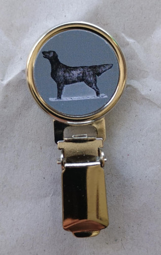Flatcoat retriever dog show - flatcoat,