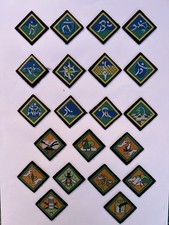 Vintage Scout / Youth Merit