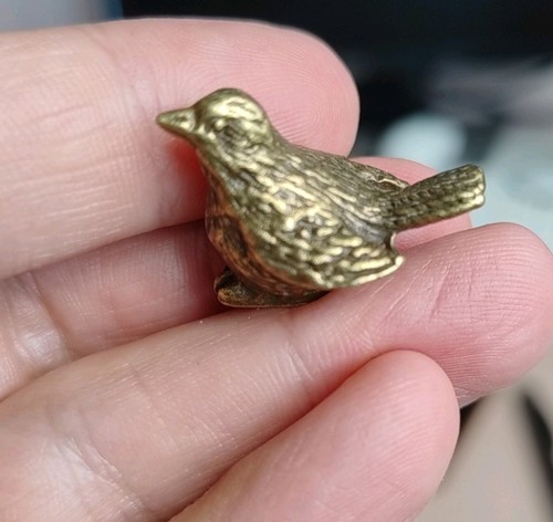 Very small tiny sparrow - very, bird